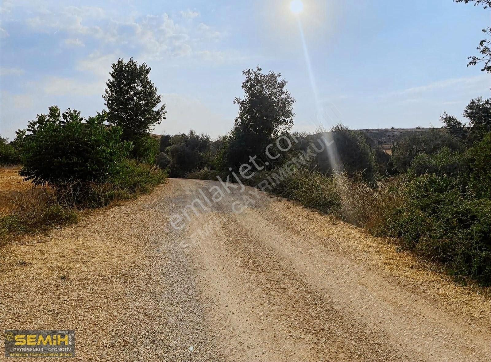 Semih'den Ebeköyde Göksu Cayına Sıfır Tam Bir Hobilik Bahçe - Görsel 17