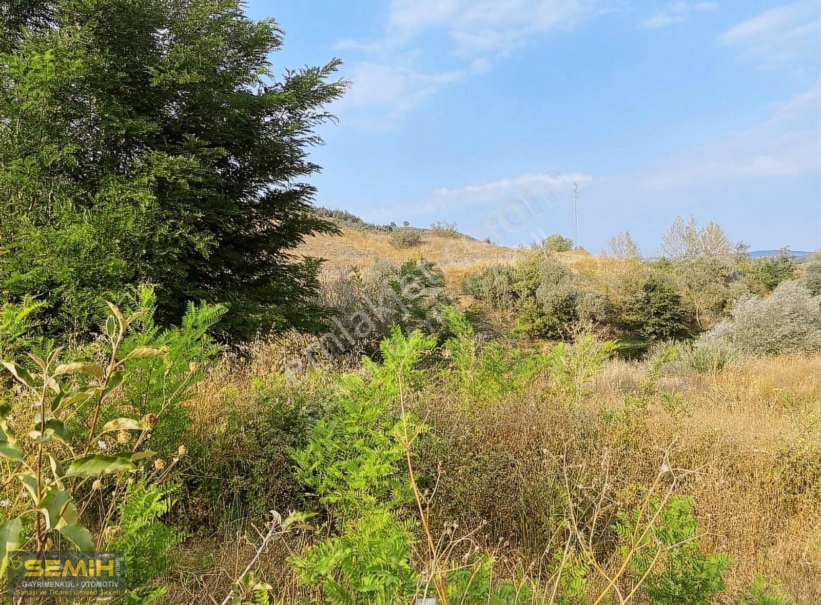 Semih'den Ebeköyde Göksu Cayına Sıfır Tam Bir Hobilik Bahçe - Görsel 14