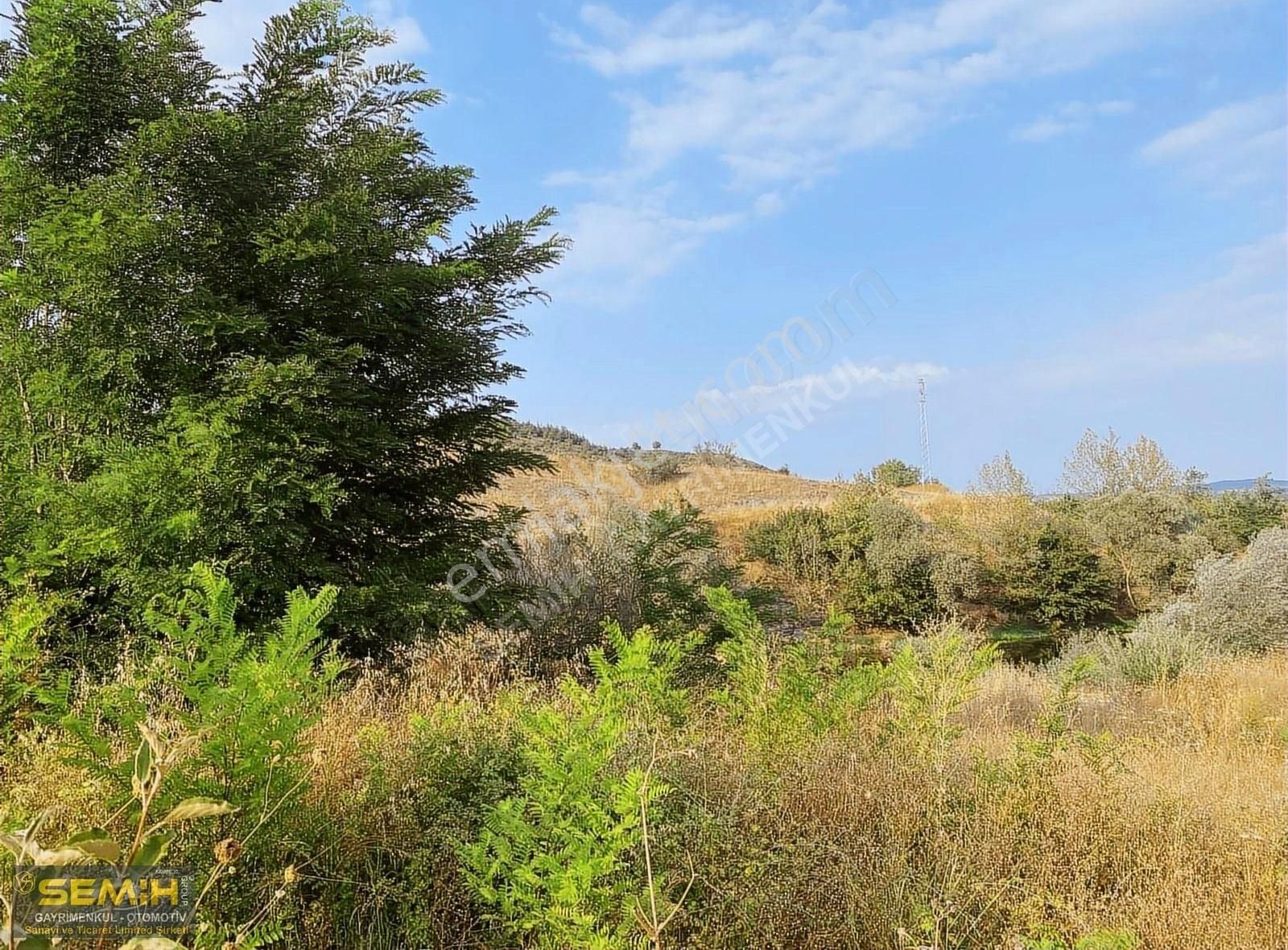 Semih'den Ebeköyde Göksu Cayına Sıfır Tam Bir Hobilik Bahçe - Görsel 12