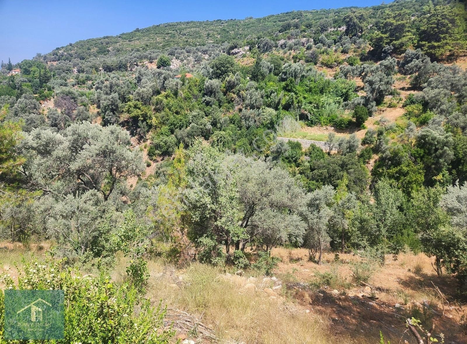 Türev Emlaktan Fethiye Çenger'de Satılık İmarlı Arazi - Görsel 9