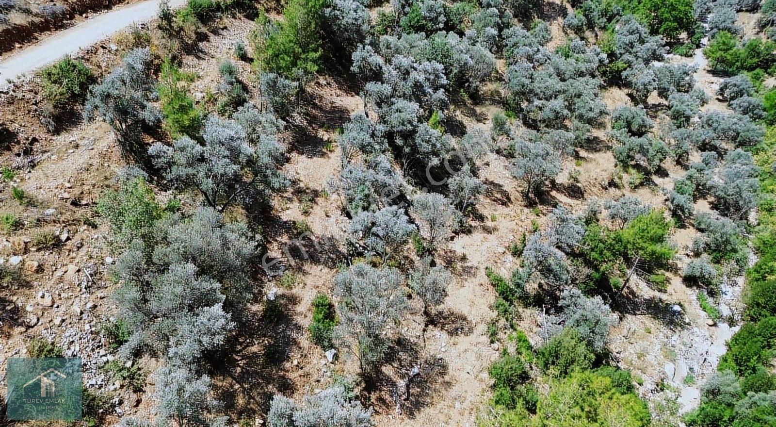 Türev Emlaktan Fethiye Çenger'de Satılık İmarlı Arazi - Görsel 7