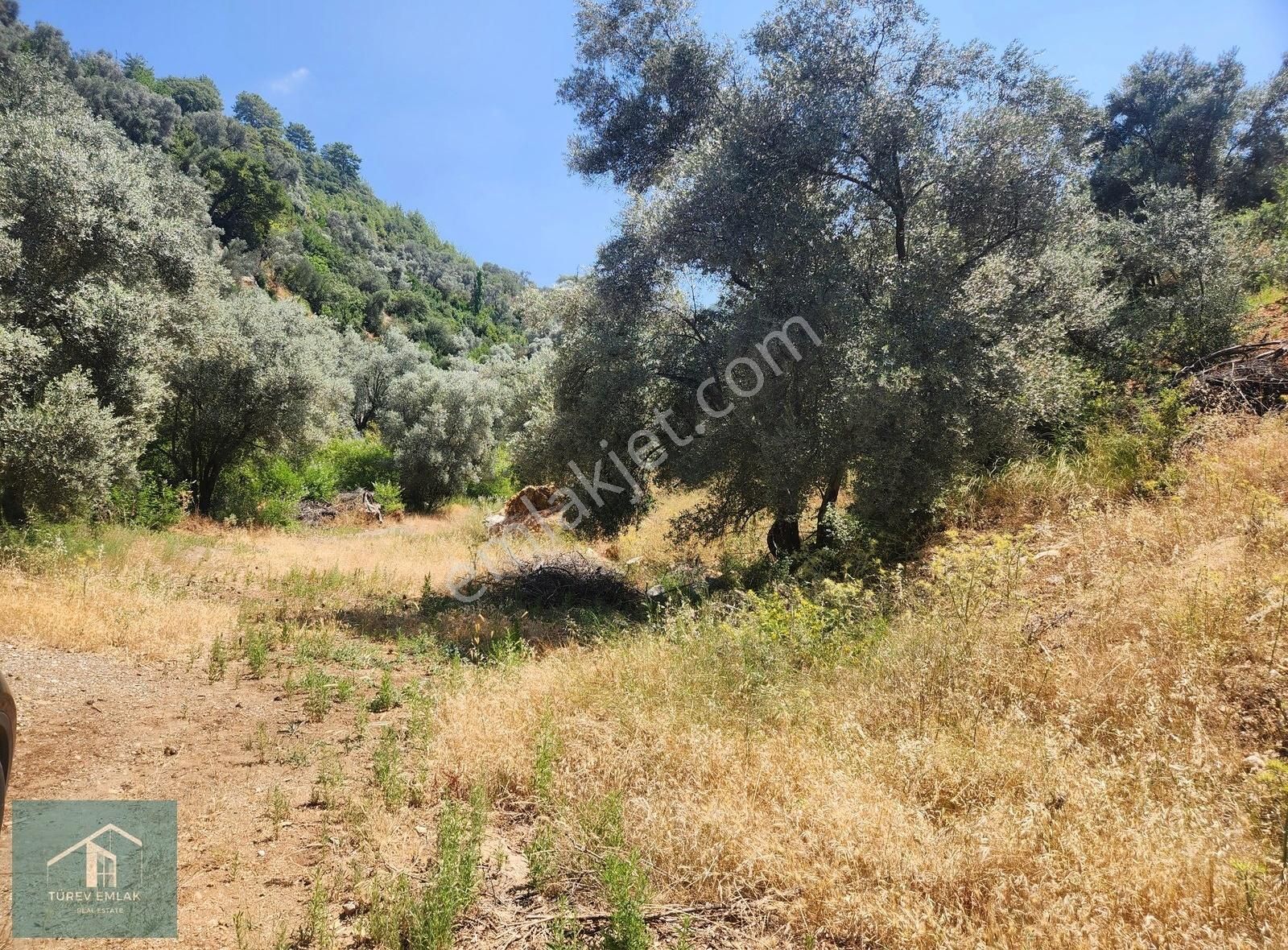 Türev Emlaktan Fethiye Çenger'de Satılık İmarlı Arazi