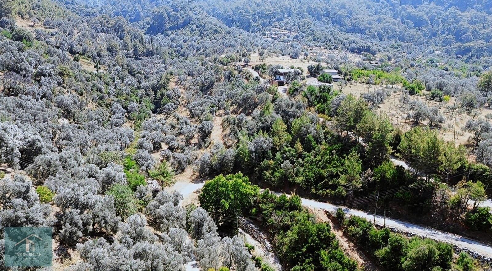 Türev Emlaktan Fethiye Çenger'de Satılık İmarlı Arazi - Görsel 2