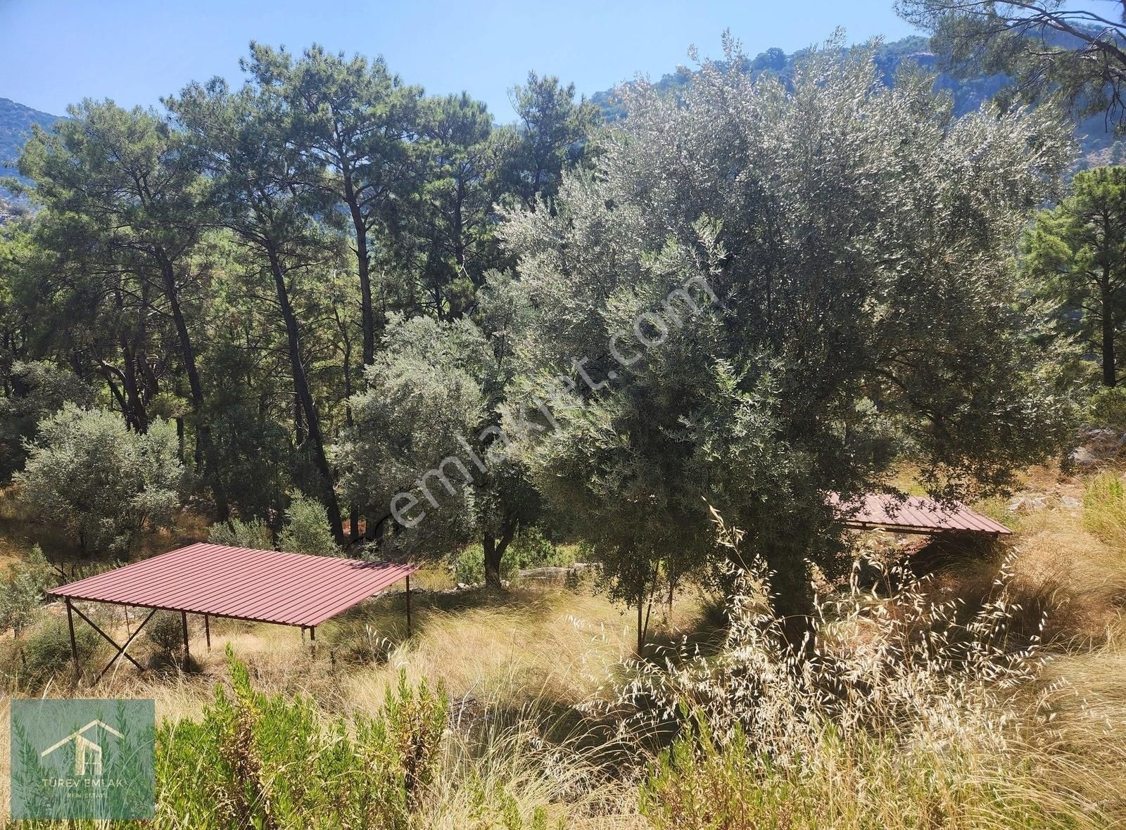 Türev Emlaktan Fethiye Göcek Taşbaşı Mevkiinde Satılık Arazi - Görsel 8