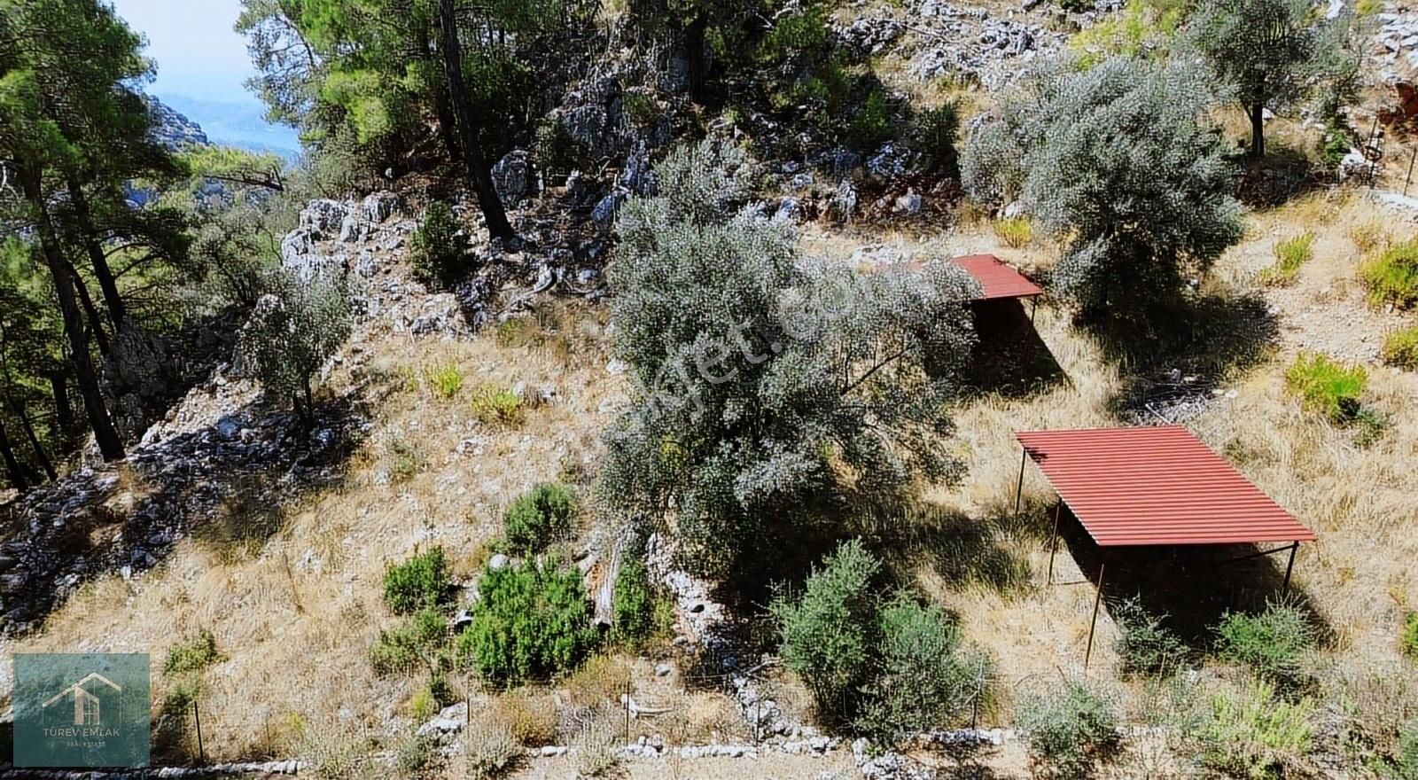 Türev Emlaktan Fethiye Göcek Taşbaşı Mevkiinde Satılık Arazi - Görsel 3