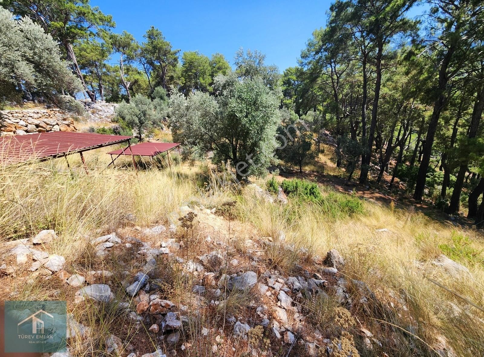 Türev Emlaktan Fethiye Göcek Taşbaşı Mevkiinde Satılık Arazi - Görsel 9
