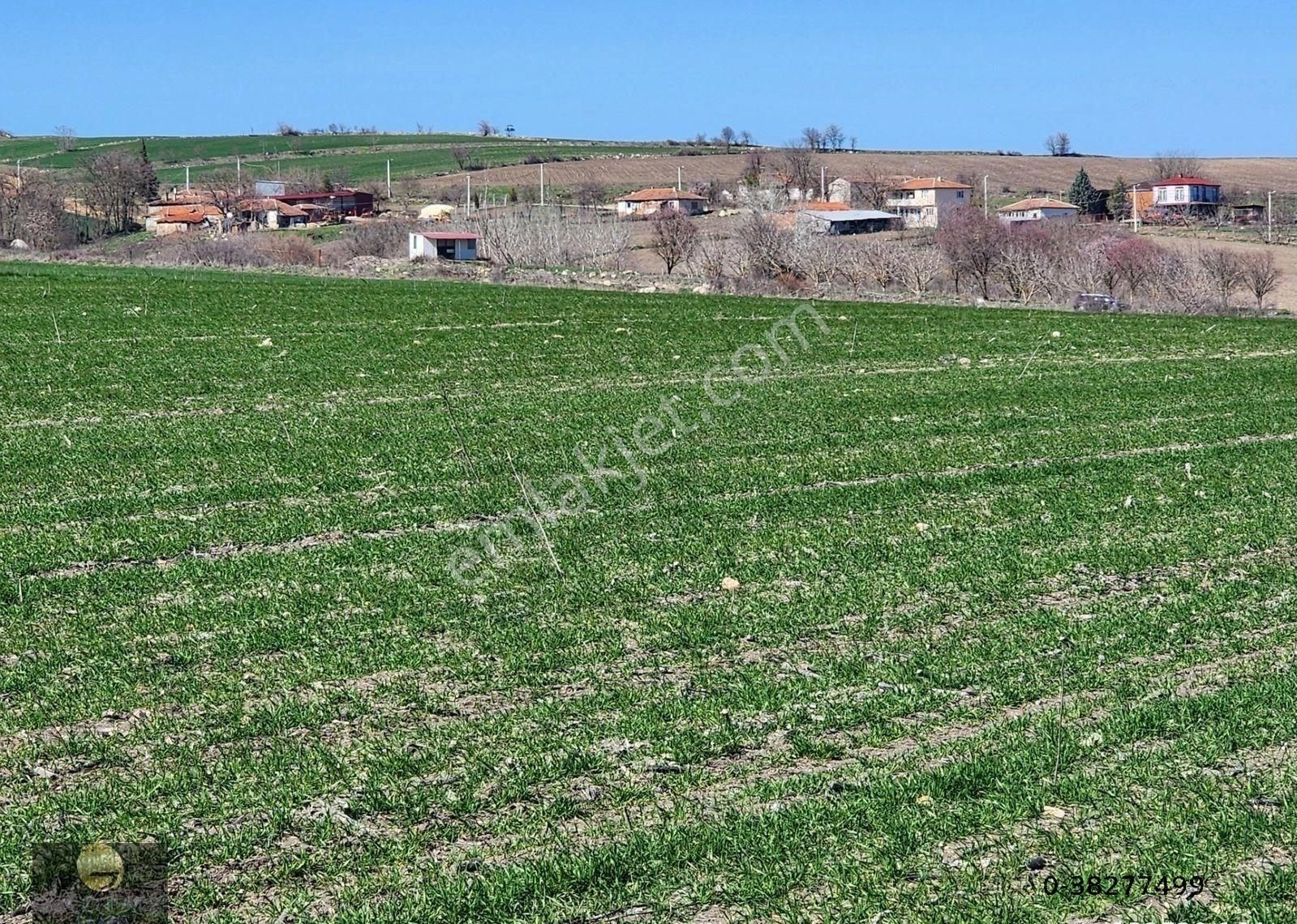 Edirne Büyük İsmailçe Köyünde Satılık Çiftlik Yeri Tarla