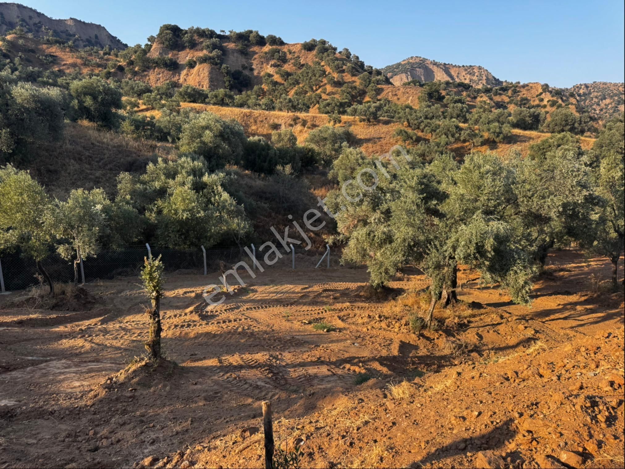 Atça Yağdere Mahallesinde Satılık Hobi Bahçesi - Görsel 16