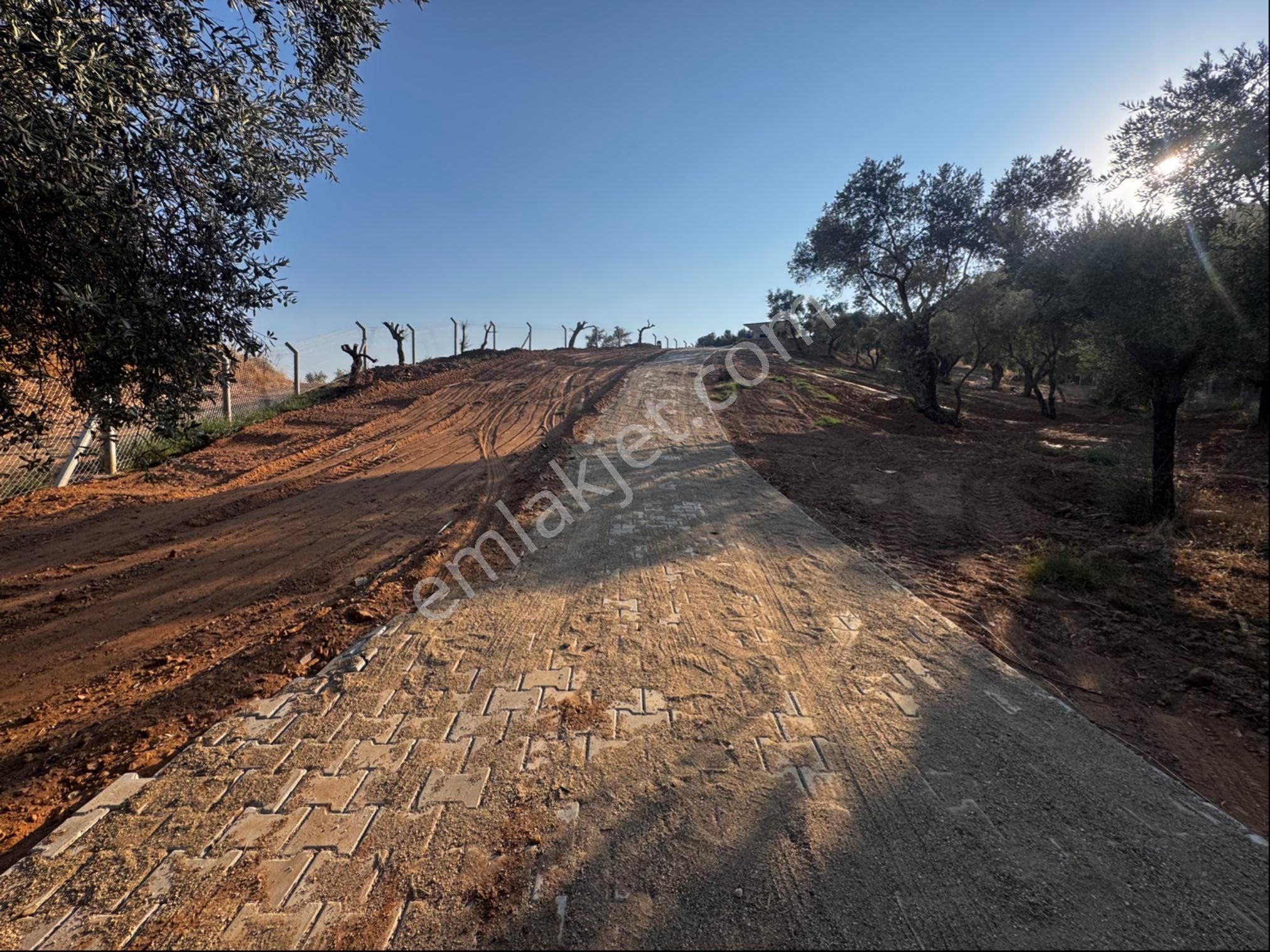 Atça Yağdere Mahallesinde Satılık Hobi Bahçesi - Görsel 7
