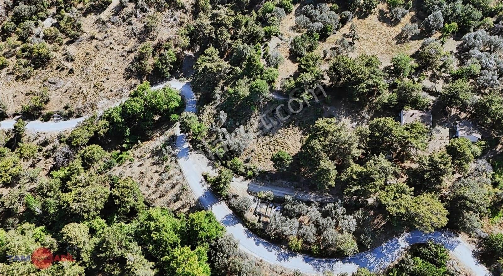 Avunduruk Köyünde Satılık 1.780 M2 İmarlı Arsa - Görsel 5