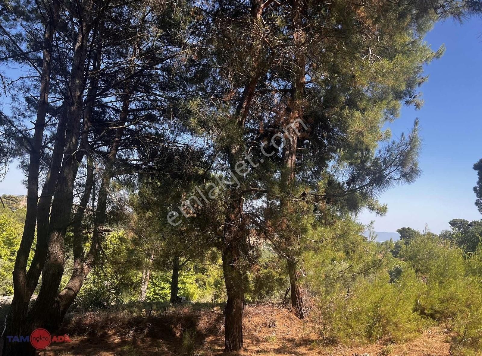 Avunduruk Köyünde Satılık 1.780 M2 İmarlı Arsa - Görsel 6