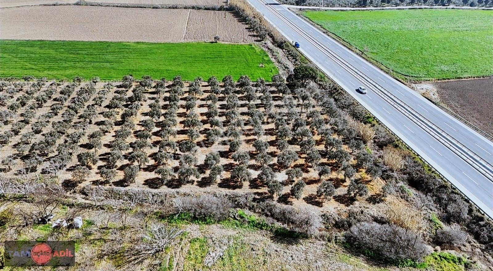 İzmir-çanakkale Yolu Üzeri Muhteşem Konumda Satılık Arsa - Görsel 4