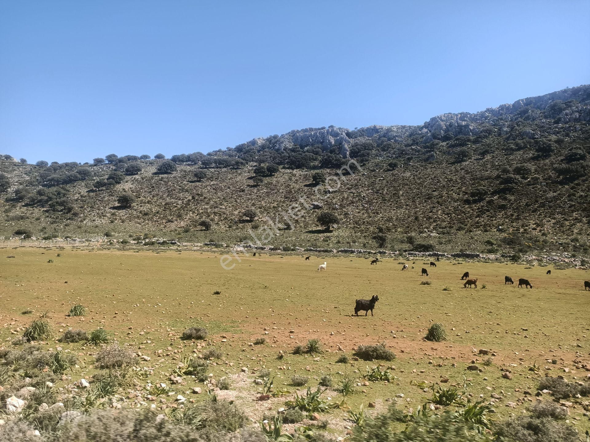 Joker: Marmaris Taşlıca Yatırıma Uygun Düzlük Alanda Satılık - Görsel 3