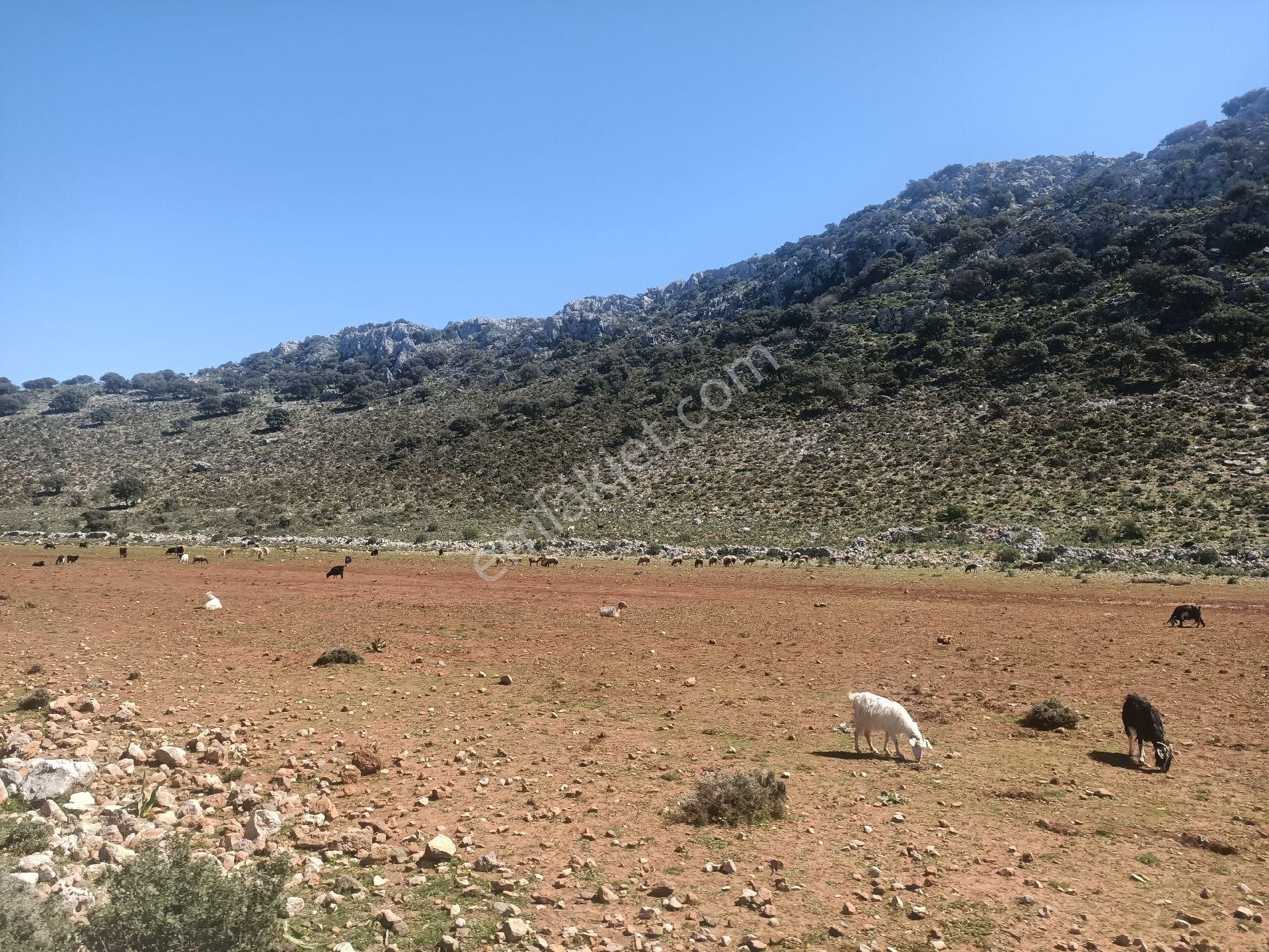 Joker: Marmaris Taşlıca Yatırıma Uygun Düzlük Alanda Satılık - Görsel 2