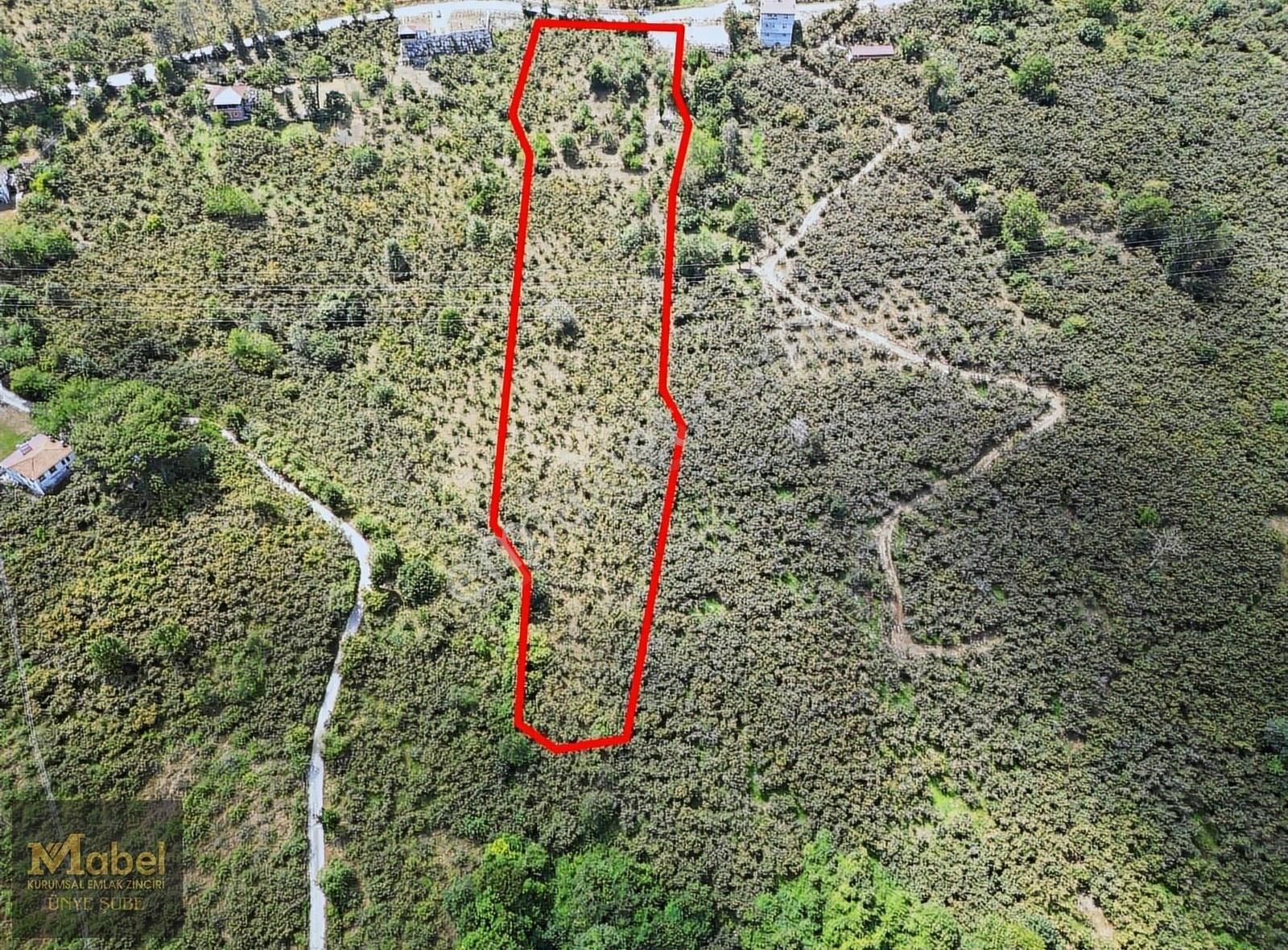 Mabel'den Çatalpınar Mevki Doğanın İçin Şehir Ve Deniz Manzaralı