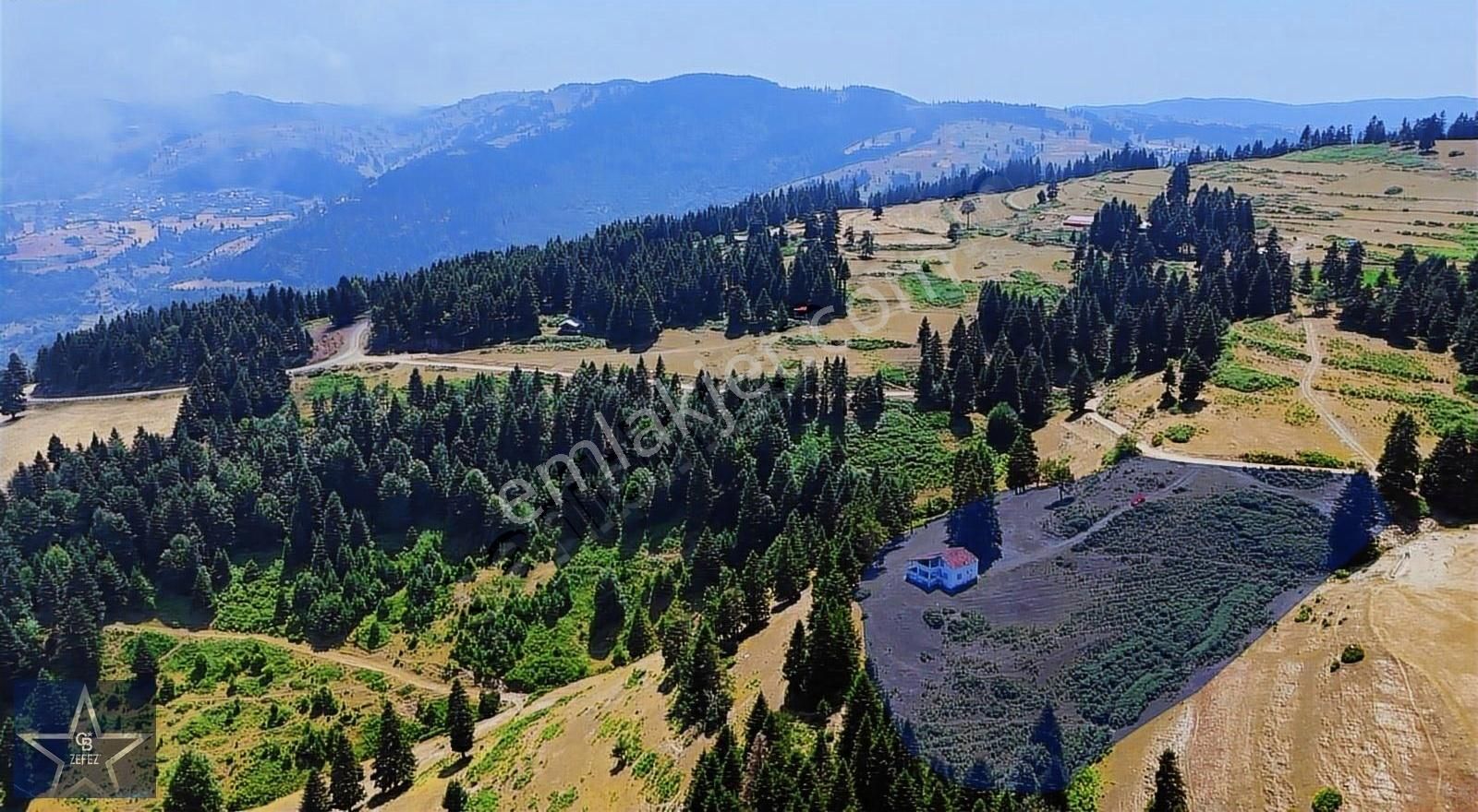 Samsun Yakakent Uzunkız Yaylasında Fırsat Satılık Tarla