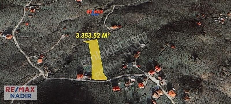 Re/max Satılık Fındık Bahçesi - Gıresun Merkez Sarvan Köyü
