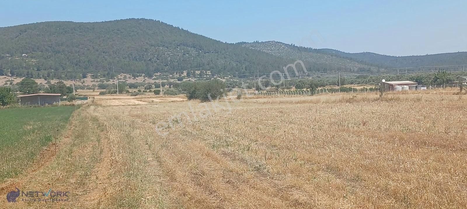 Doğanın Kalbinde , Bodrum Da Bir Yaşam Fırsatı - Görsel 14