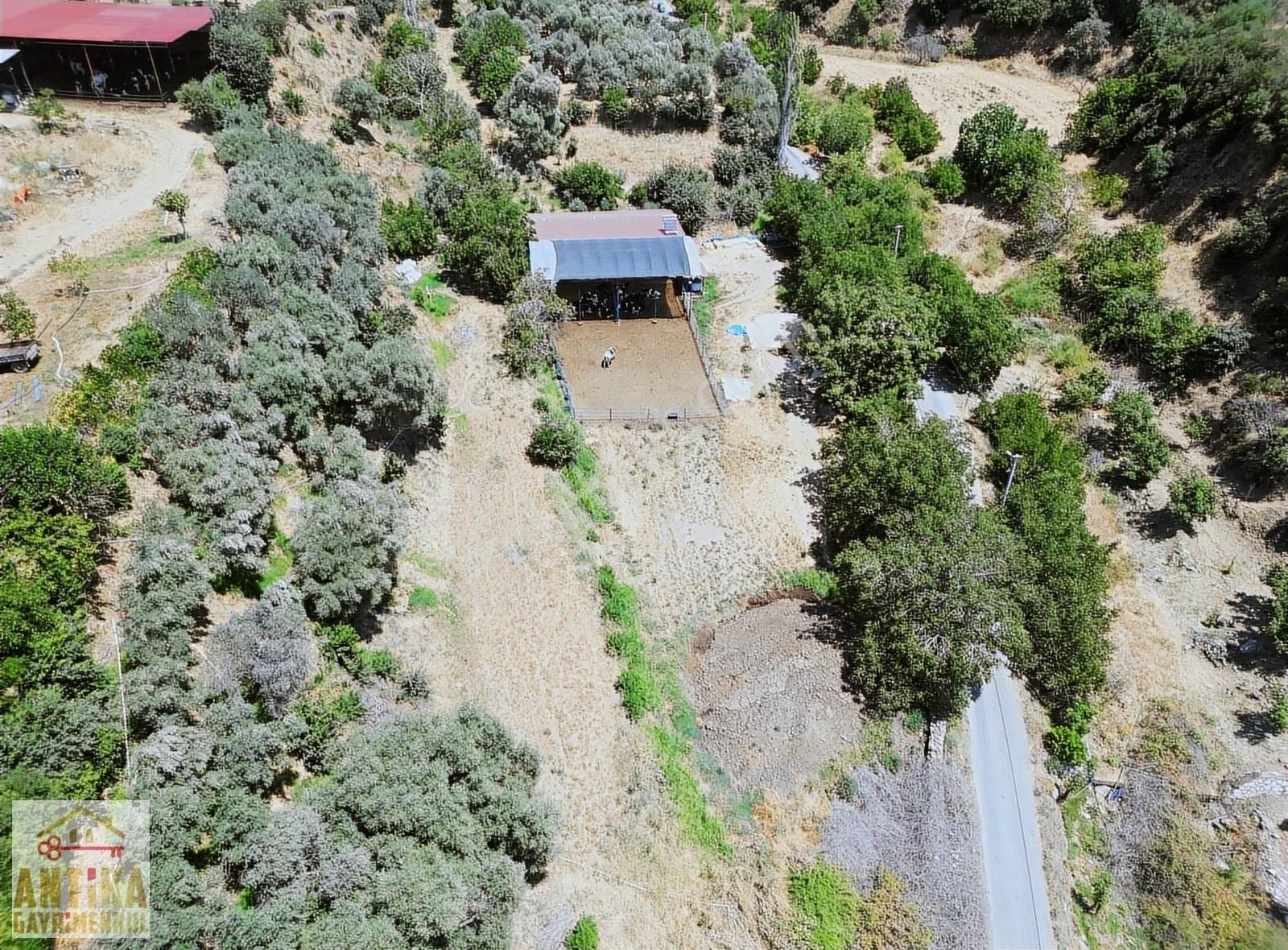 Antika Gayrimenkul'den Birgi'de Köy İmarlı Satılık Fırsat Arsa - Görsel 4