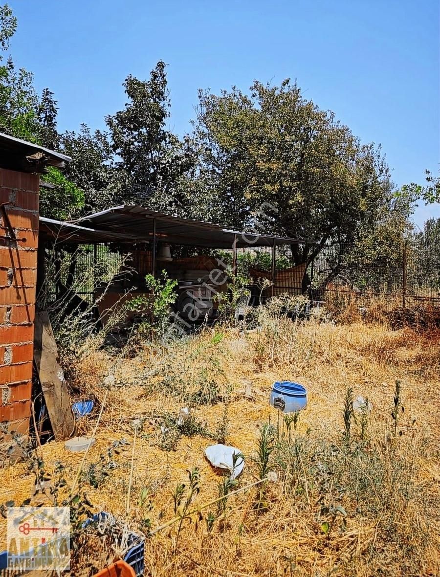 Antika Gayrimenkulden Fırsat Niteliğinde Satılık Çiftlik - Görsel 12