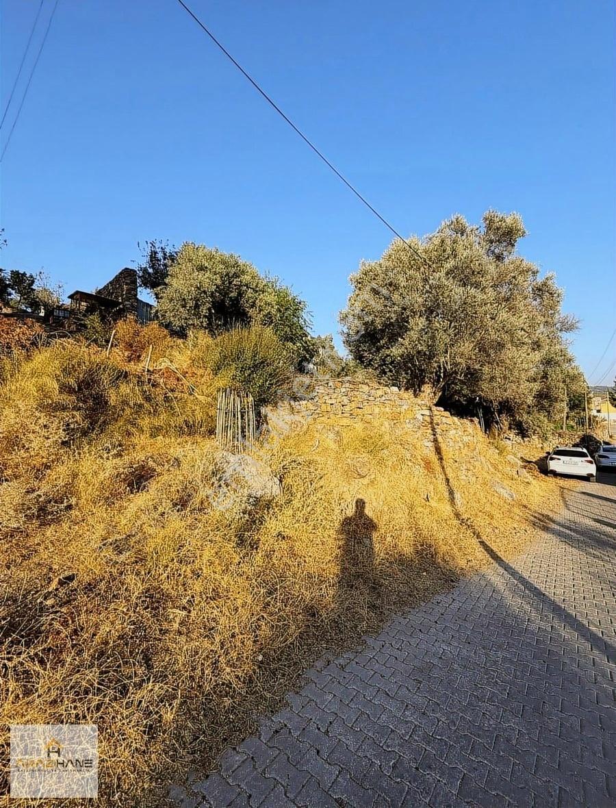 Milas Pınararası Köy İçi Toplam 535 M2 (250m2 ) İmarlı Arsa- İnşaata Hazır - Görsel 12