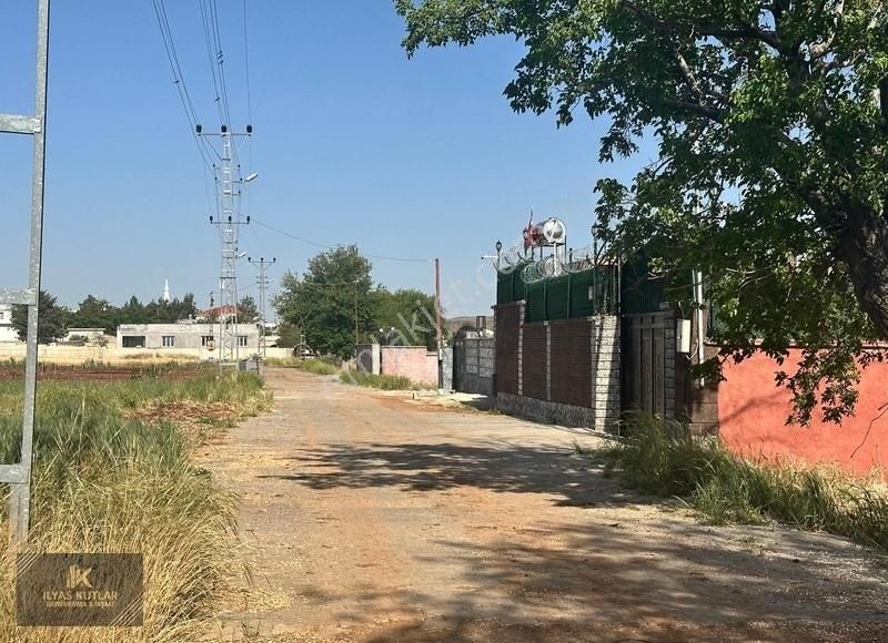 Sarıt Ta 1000 M2 Önü Kilit Taşi Bağevlik Arsa