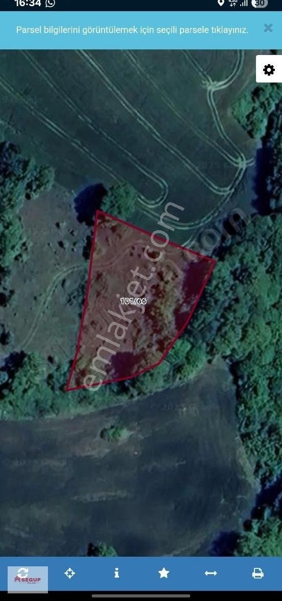 Segup Mustafa'dan Kavak Hacılı Mahallesi'nde 1652 M² Tarla