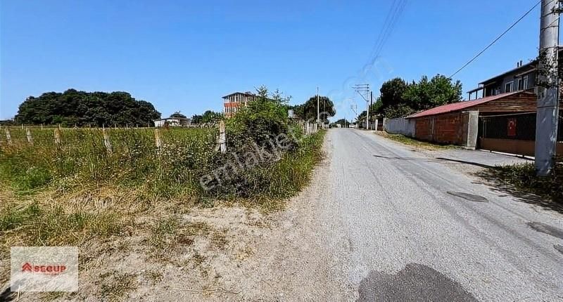 Bafra Lengerlide Yol Kenarı Yerleşik Alan Değerli Tarla