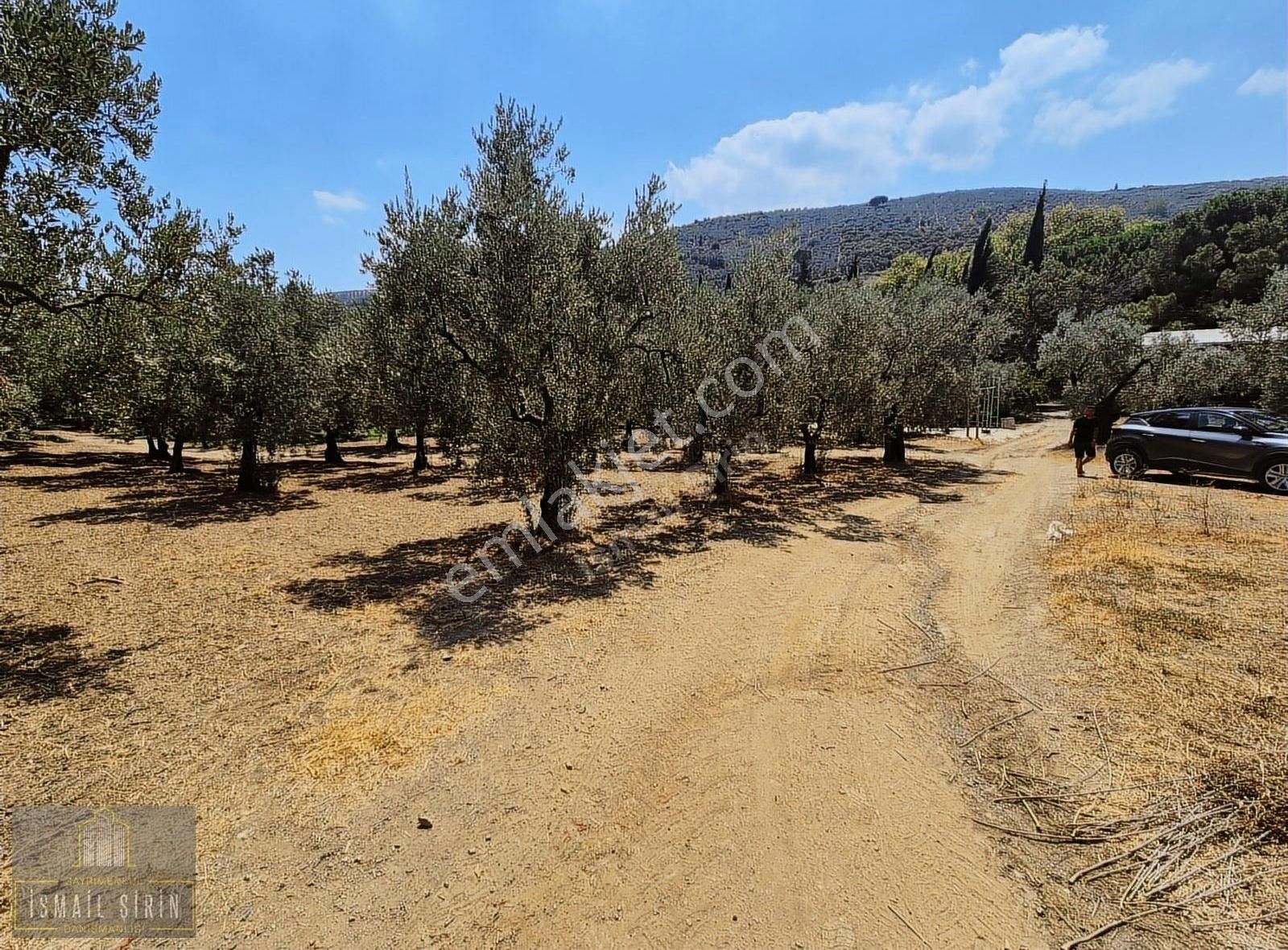 İsmail Şirinden Kumla Köy Yolunda Asfalta 50mt Konut İmarlı Arsa - Görsel 9