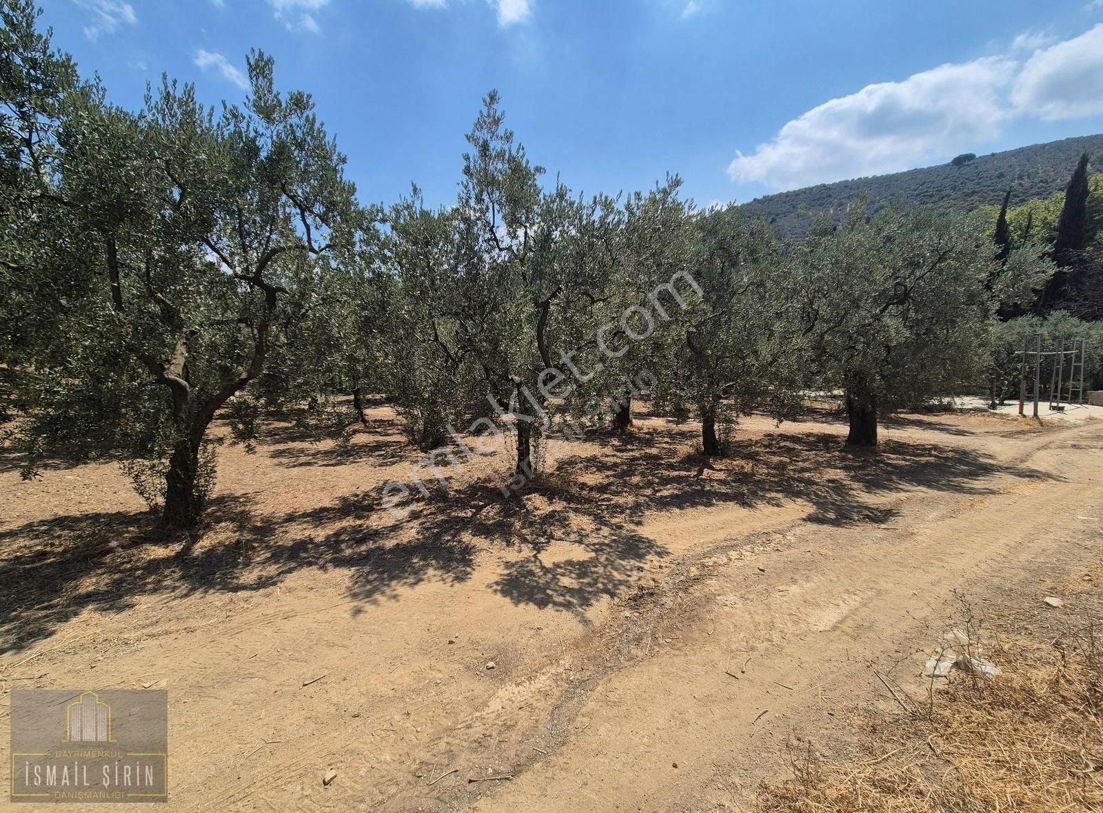 İsmail Şirinden Kumla Köy Yolunda Asfalta 50mt Konut İmarlı Arsa - Görsel 2