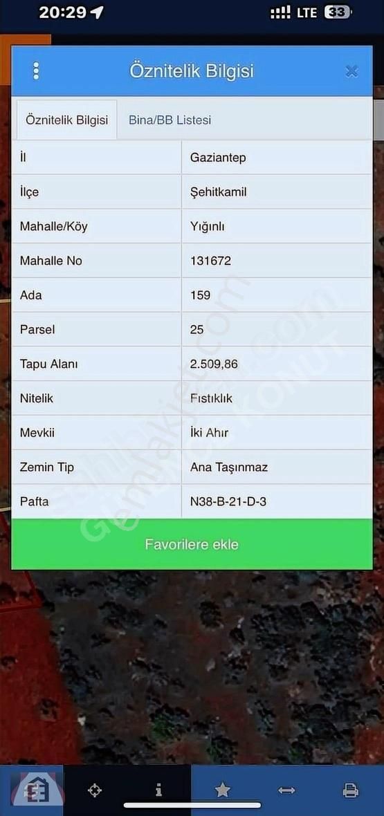 Verimli Yetişkin Fıstıklık