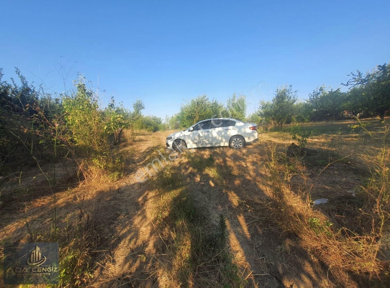Yerleşim Yerinde Yetişkin Meyve Bahçesi - Görsel 9