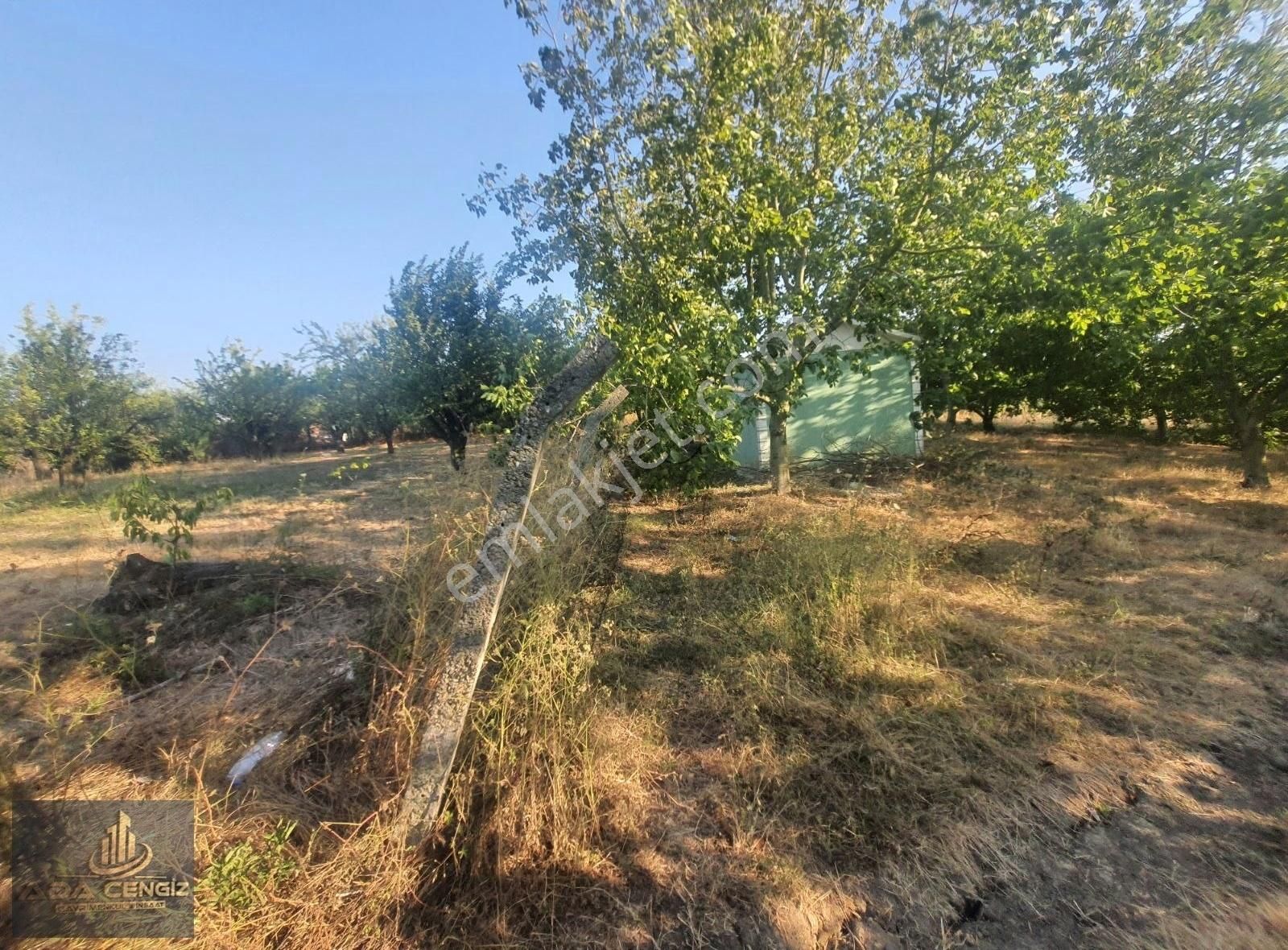 Yerleşim Yerinde Yetişkin Meyve Bahçesi - Görsel 13