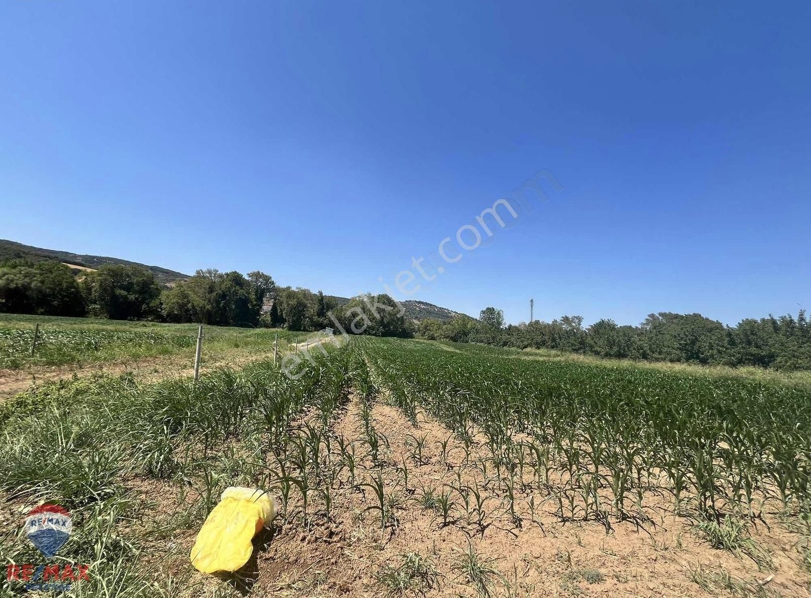 Bigaya Yürüme Mesafesinde Abtiağada Yatırımlık Arazi Fırsatı!!! - Görsel 3