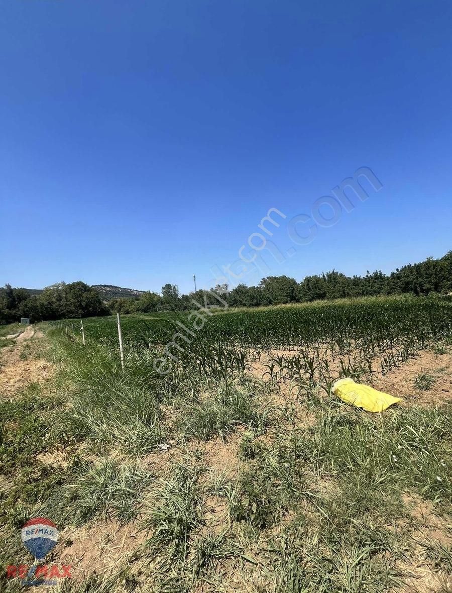 Bigaya Yürüme Mesafesinde Abtiağada Yatırımlık Arazi Fırsatı!!!