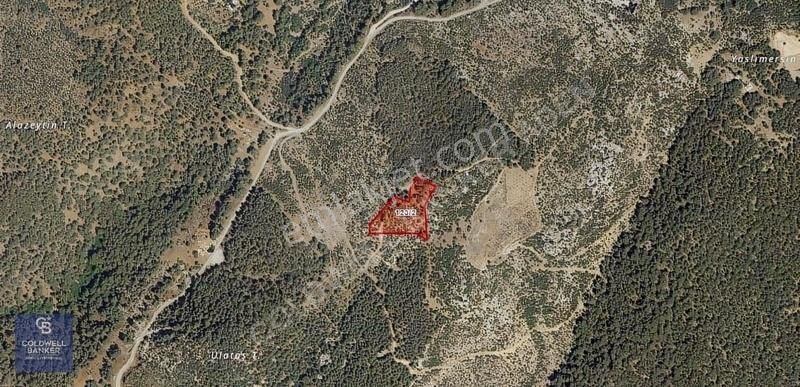 Muğla Köyceğiz Akköprü Satılık Arsa Hissesi 7012m2/333m2