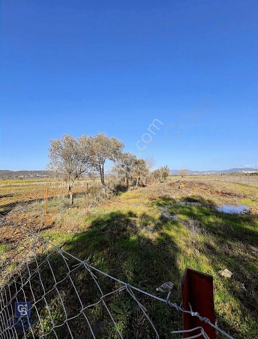 Bodrum Çamarasın'da 2.511 M2 Satılık Çiftlik Arazisi - Görsel 6