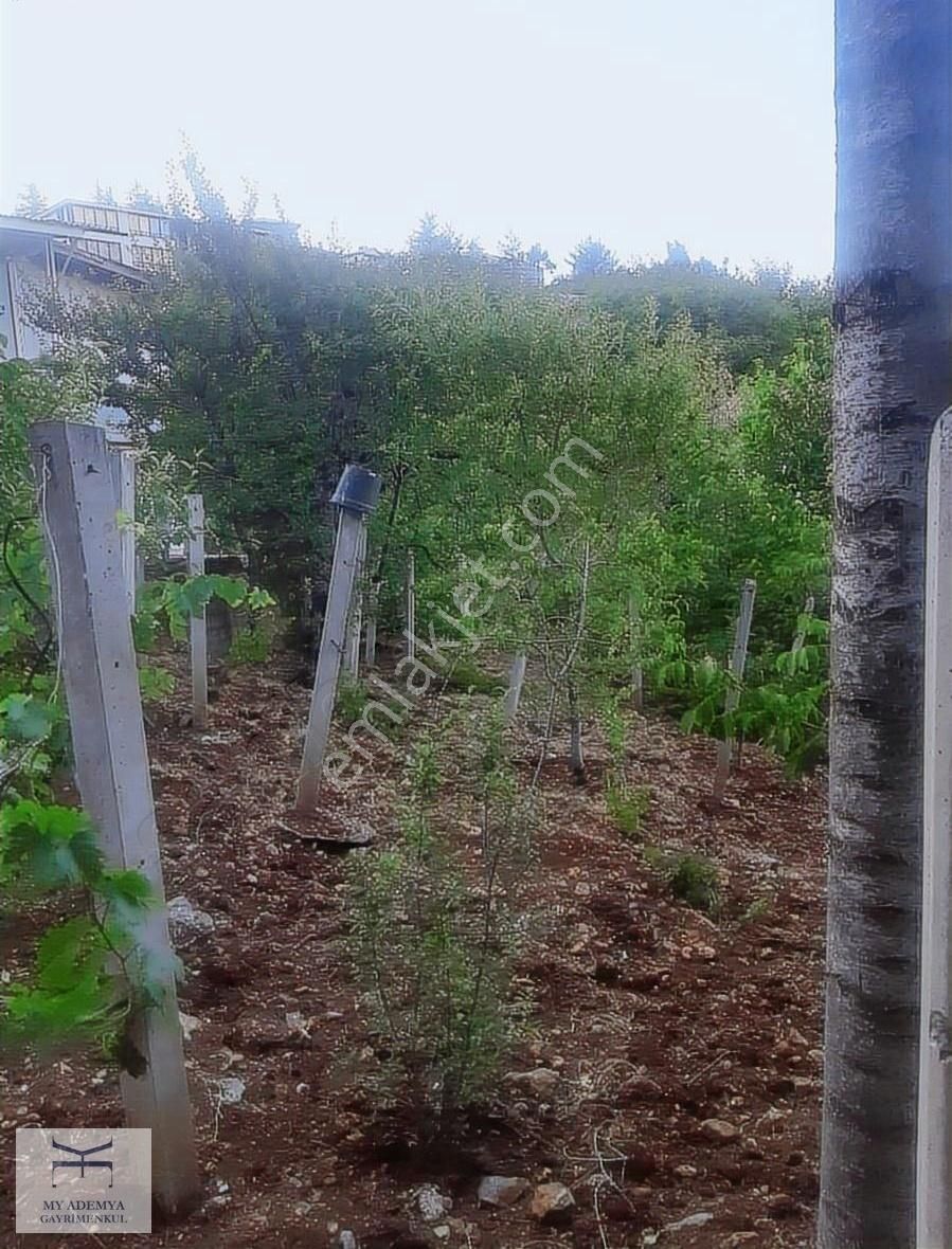 Akçatekir'de İmarlı-geniş Bahçeli Müstakil Ev.. - Görsel 24