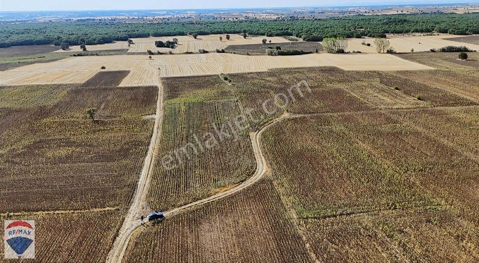 Ertuğrul Köyünde Resmi Yolu Olan 2.550 M2 Satılık Arazi