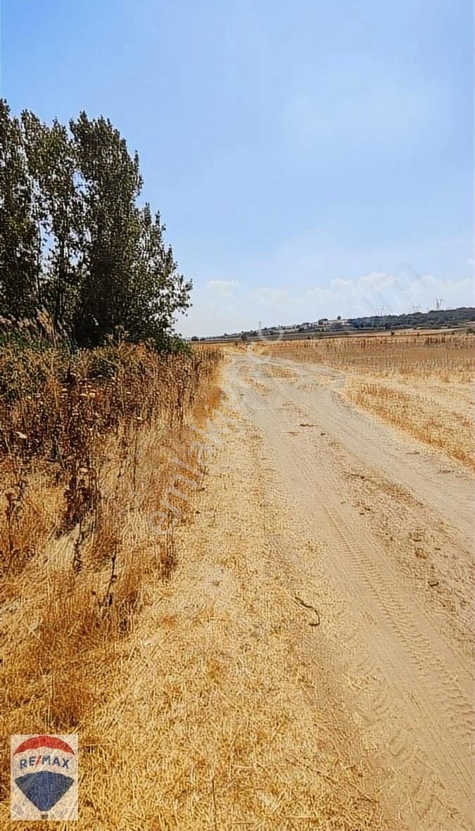 Yaz Kış Yolu Olan Tatarköy'de Hobi Bahçesi Yeri