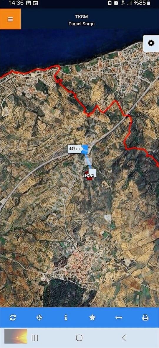 Burhaniye Pelitköy'de Yatırımlık Deniz Manzaralı Zeytinlik - Görsel 4