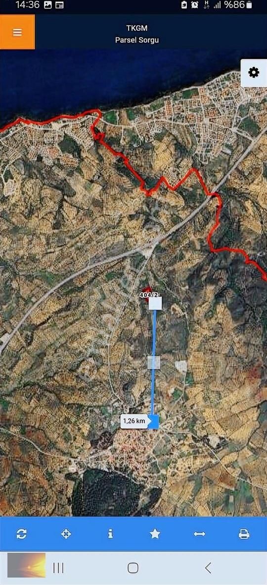 Burhaniye Pelitköy'de Yatırımlık Deniz Manzaralı Zeytinlik - Görsel 3