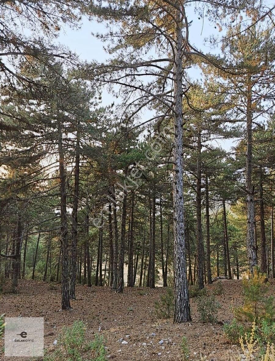 Cakmak Mahallesı Satılık Vılla Parselı Yerlesımın Icı