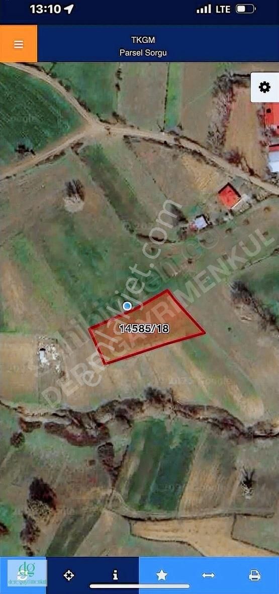 Dere Gayrimenkulden Sarıtaş Ta 1500 M2 Acil Satılk Fırsat Tarla