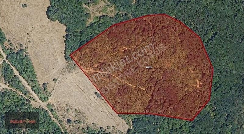 Gölcük İrşadiyede 45.275 M² Müstakil Doğayla İç İçe Yatırımlık