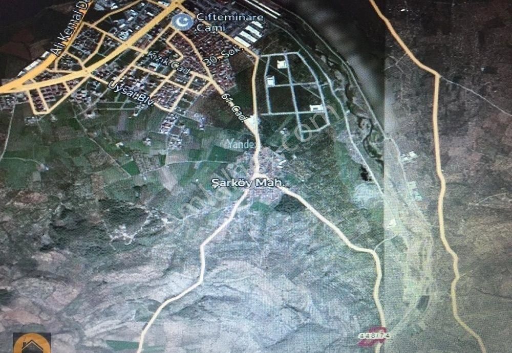 Burhaniye Şarköy. 16800 M2 Zeytinlik Satılık - Görsel 4