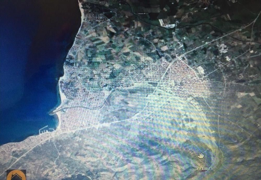 Burhaniye Şarköy. 16800 M2 Zeytinlik Satılık - Görsel 2