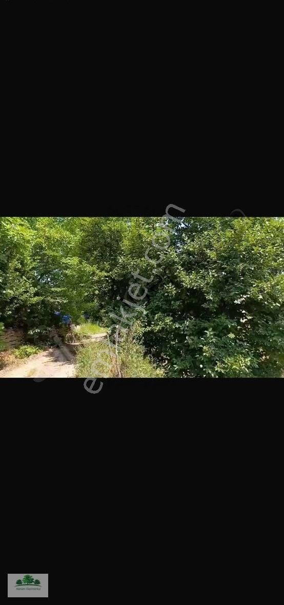 Marsam Emlak'tan Geyikdere Köyünde Resmi Yola Cepheli 2,800m2