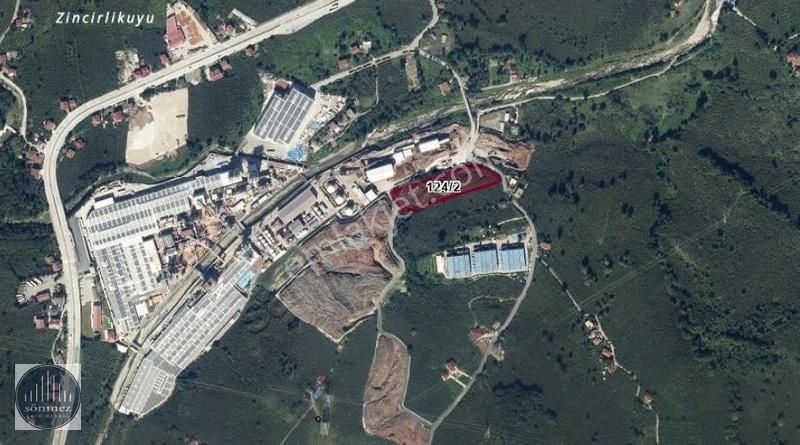 Sönmez'den Çamsan Fabrikasına Komşu 7454m² Fındık Bahçesi