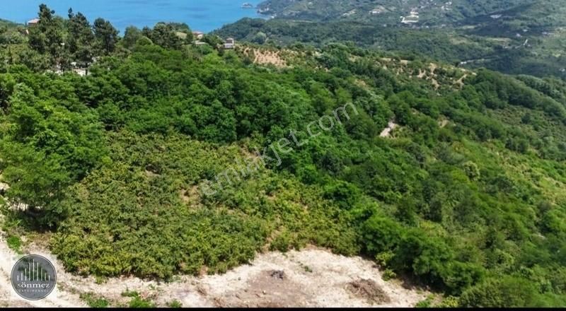 Sönmez'den Perşembe/çaytepe'de 7.800 M² Satılık Fırsat Arsa